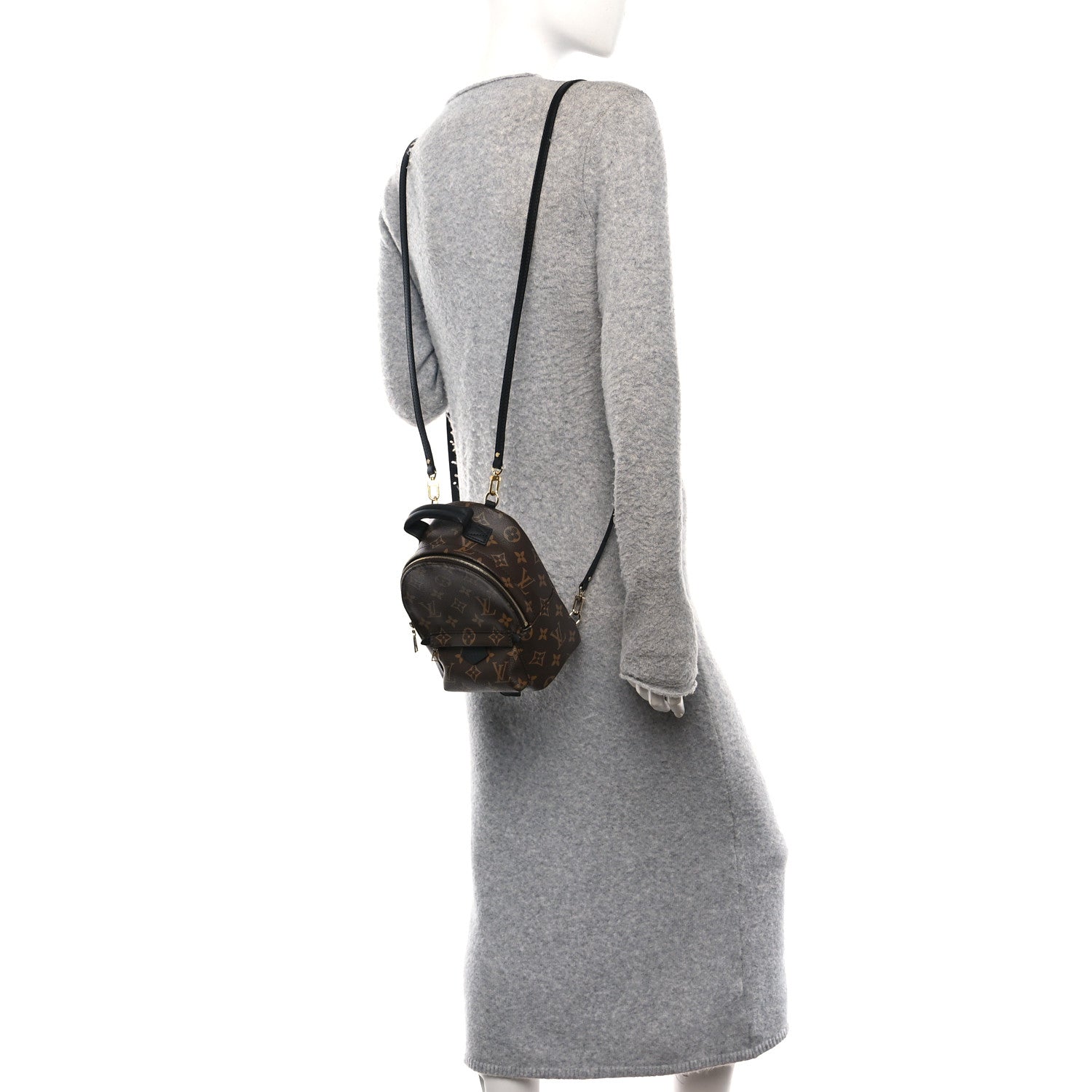 Louis Vuitton Monogram Palm Springs Backpack Mini