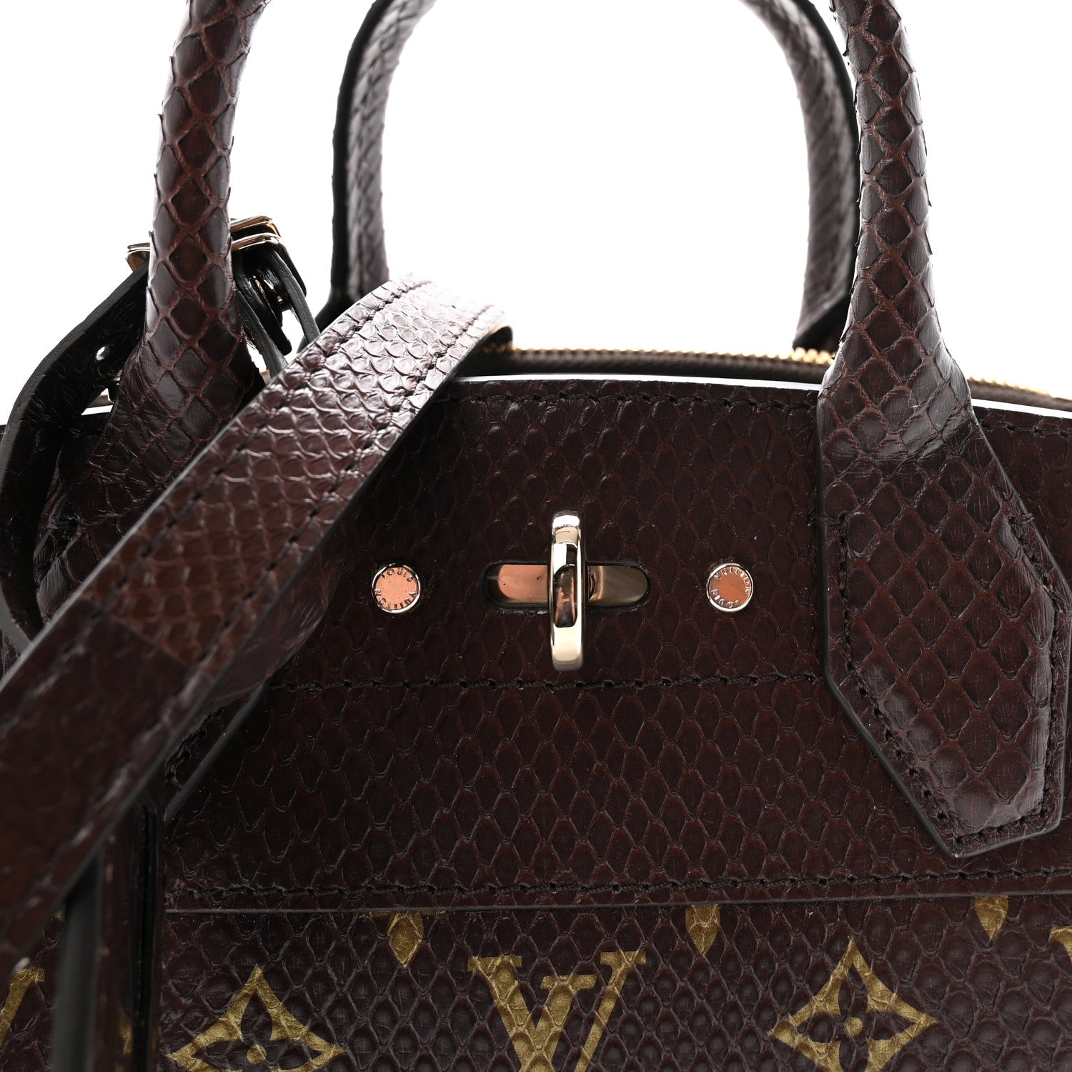 Louis Vuitton Snakeskin Monogram City Steamer Mini Brown