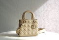 Dior Bags - 2938