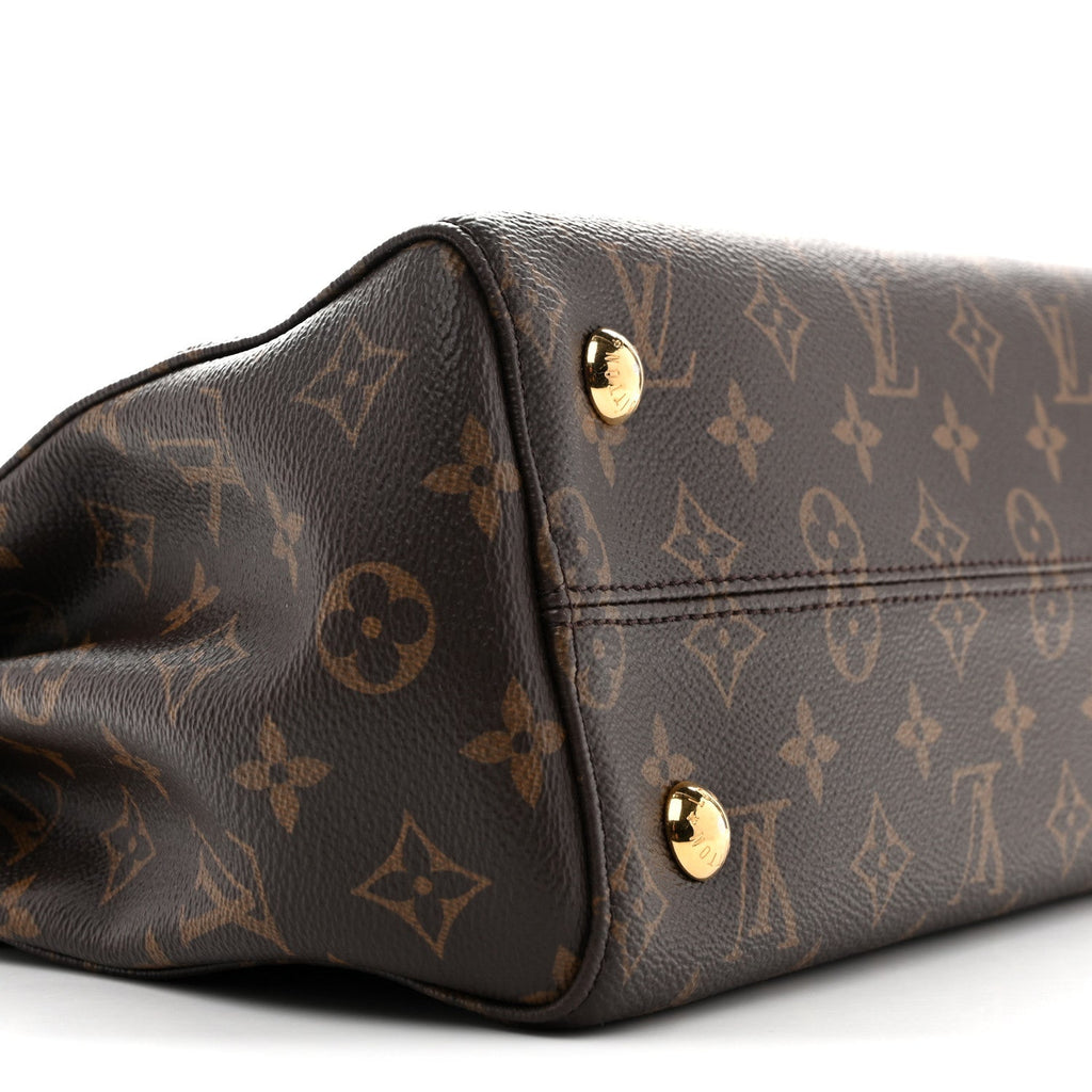 Louis Vuitton Monogram Venus Raisin