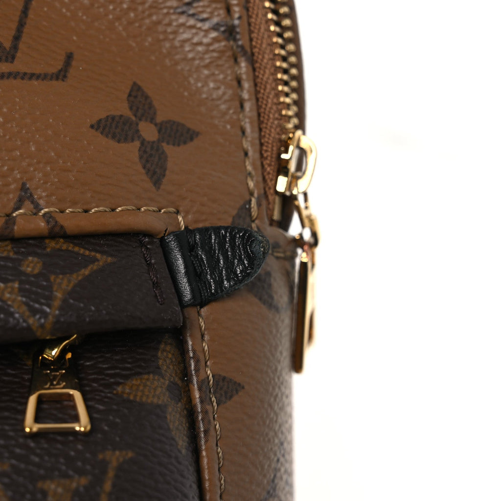 Louis Vuitton Reverse Monogram Palm Springs Backpack Mini