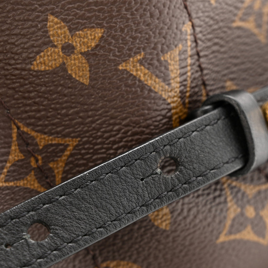 Louis Vuitton Reverse Monogram Palm Springs Backpack PM