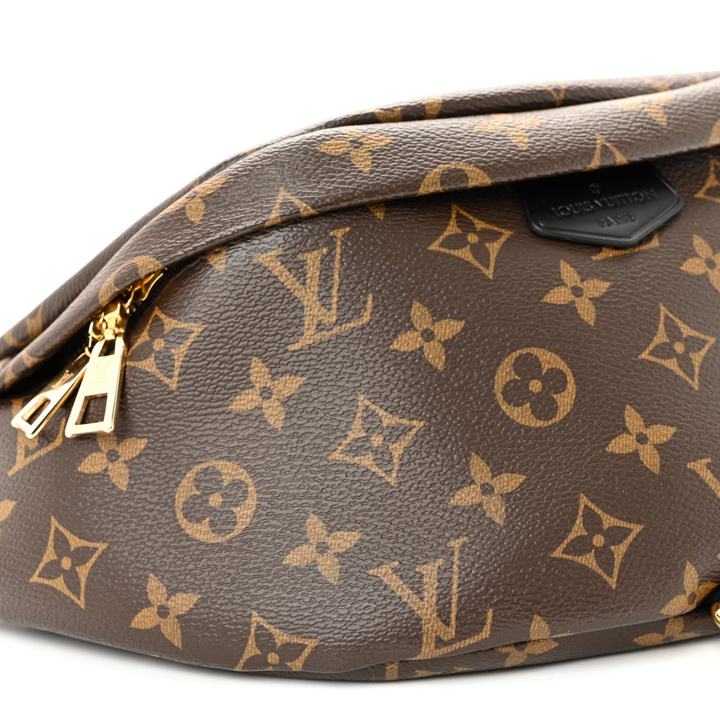 Louis Vuitton Monogram My LV World Tour Bumbag