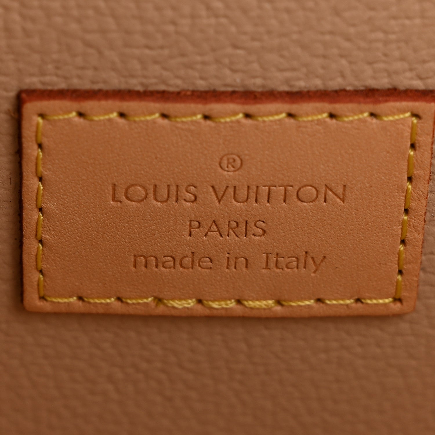 Louis Vuitton Monogram Nice Mini