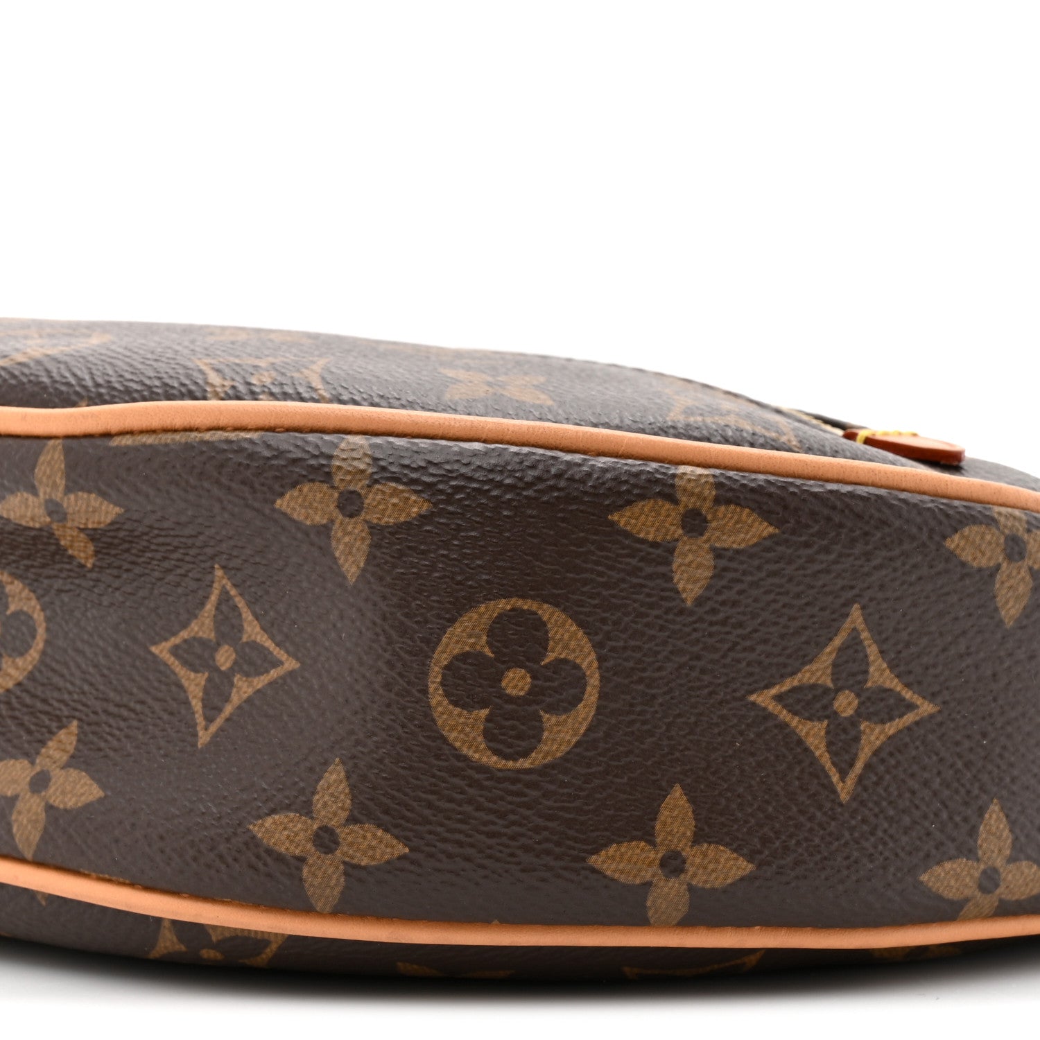 Louis Vuitton Monogram Loop