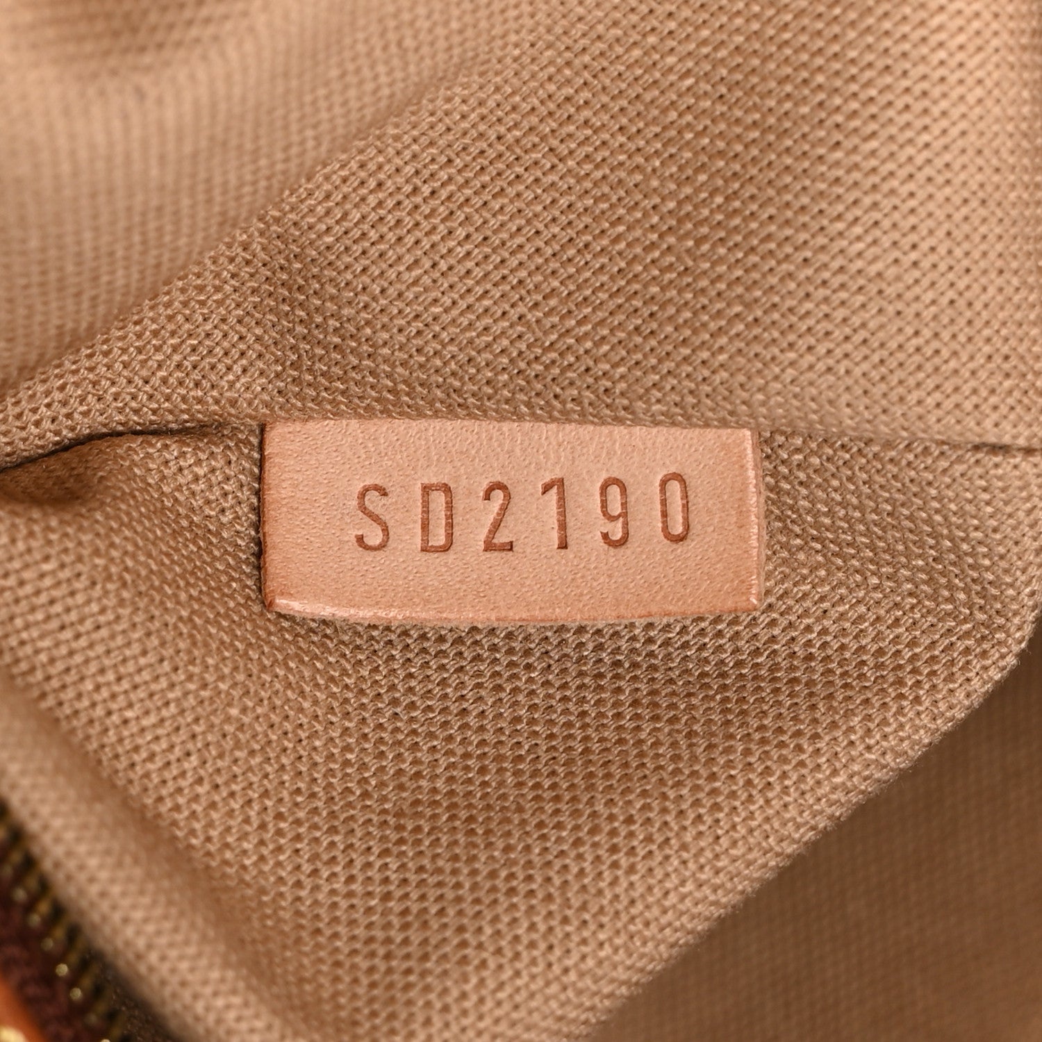 Louis Vuitton Monogram Delightful PM