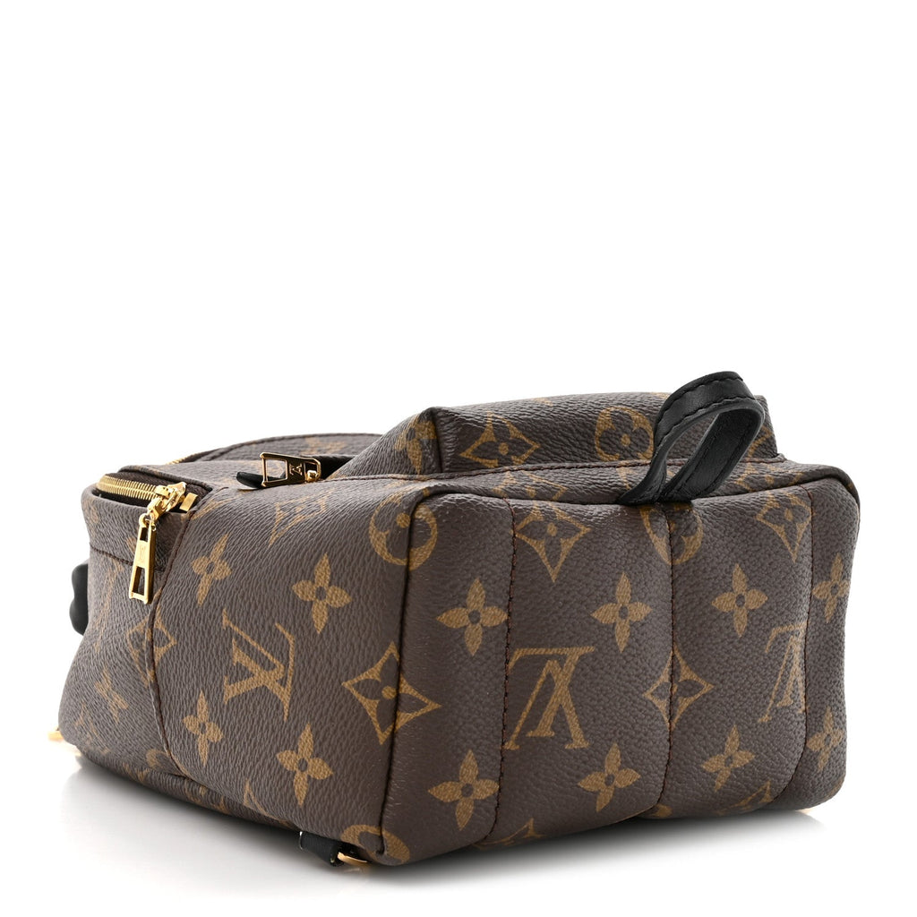 Louis Vuitton Monogram Palm Springs Backpack Mini