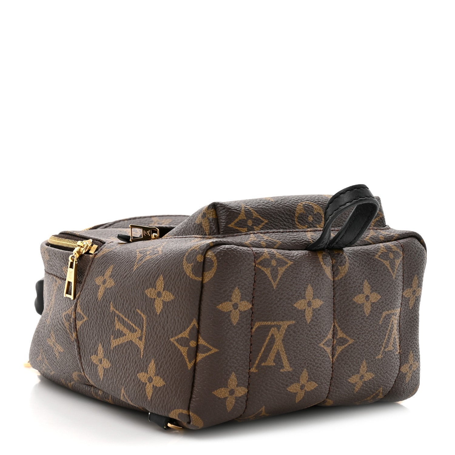Louis Vuitton Monogram Palm Springs Backpack Mini