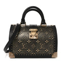Louis Vuitton Monogram Epic Calfskin Speedy Trunk 20