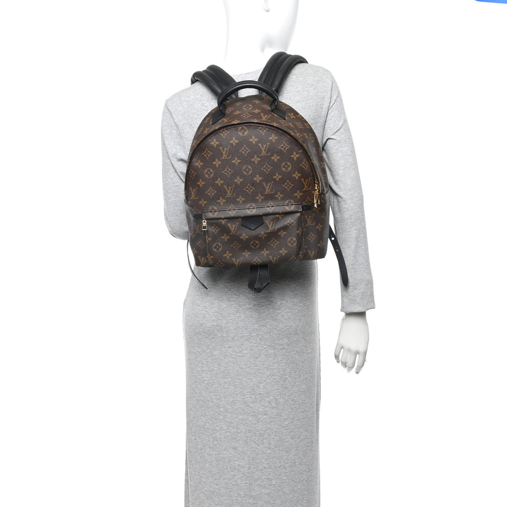 Louis Vuitton Monogram Palm Springs Backpack MM