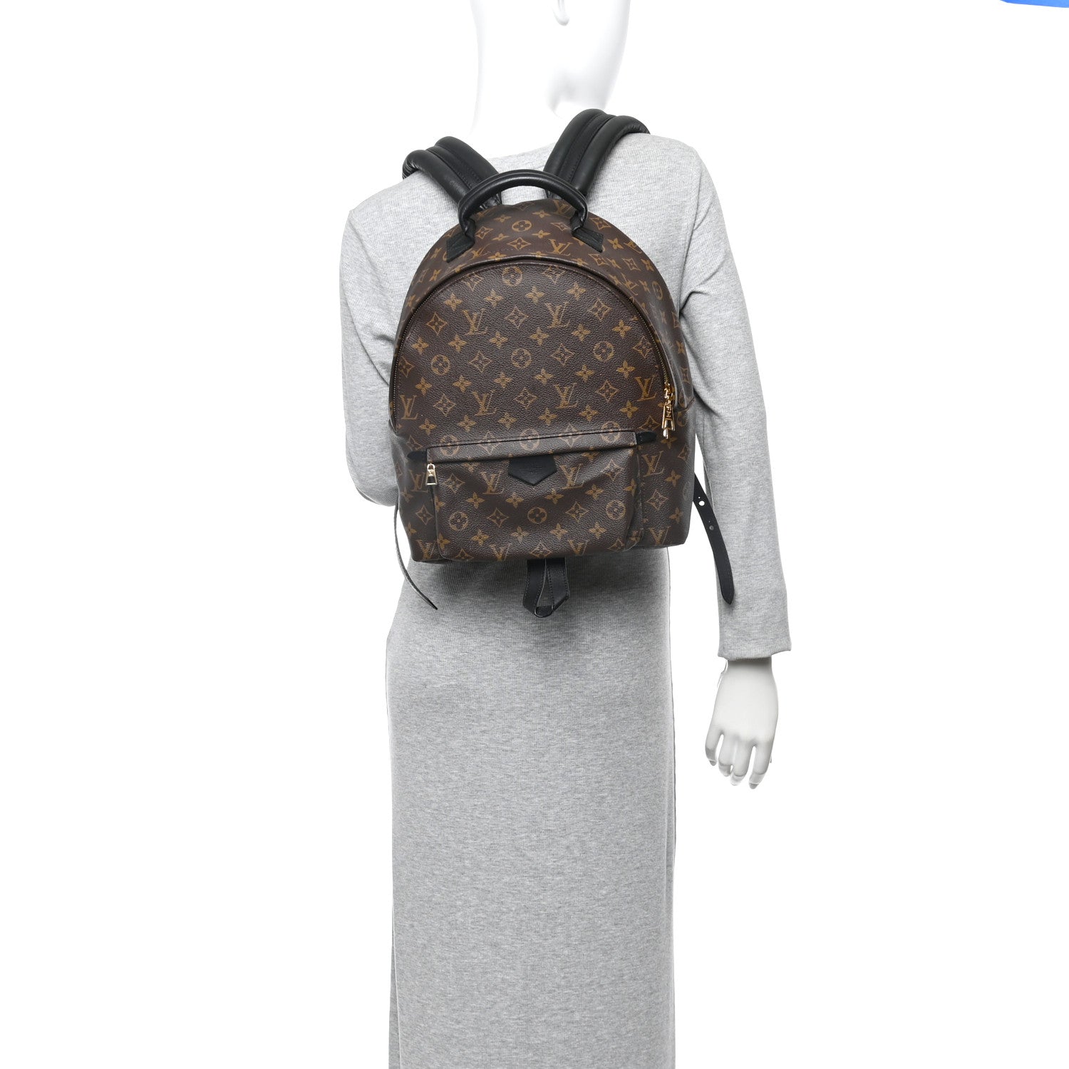 Louis Vuitton Monogram Palm Springs Backpack MM