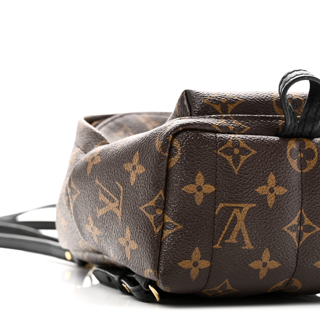 Louis Vuitton Monogram Palm Springs Backpack Mini