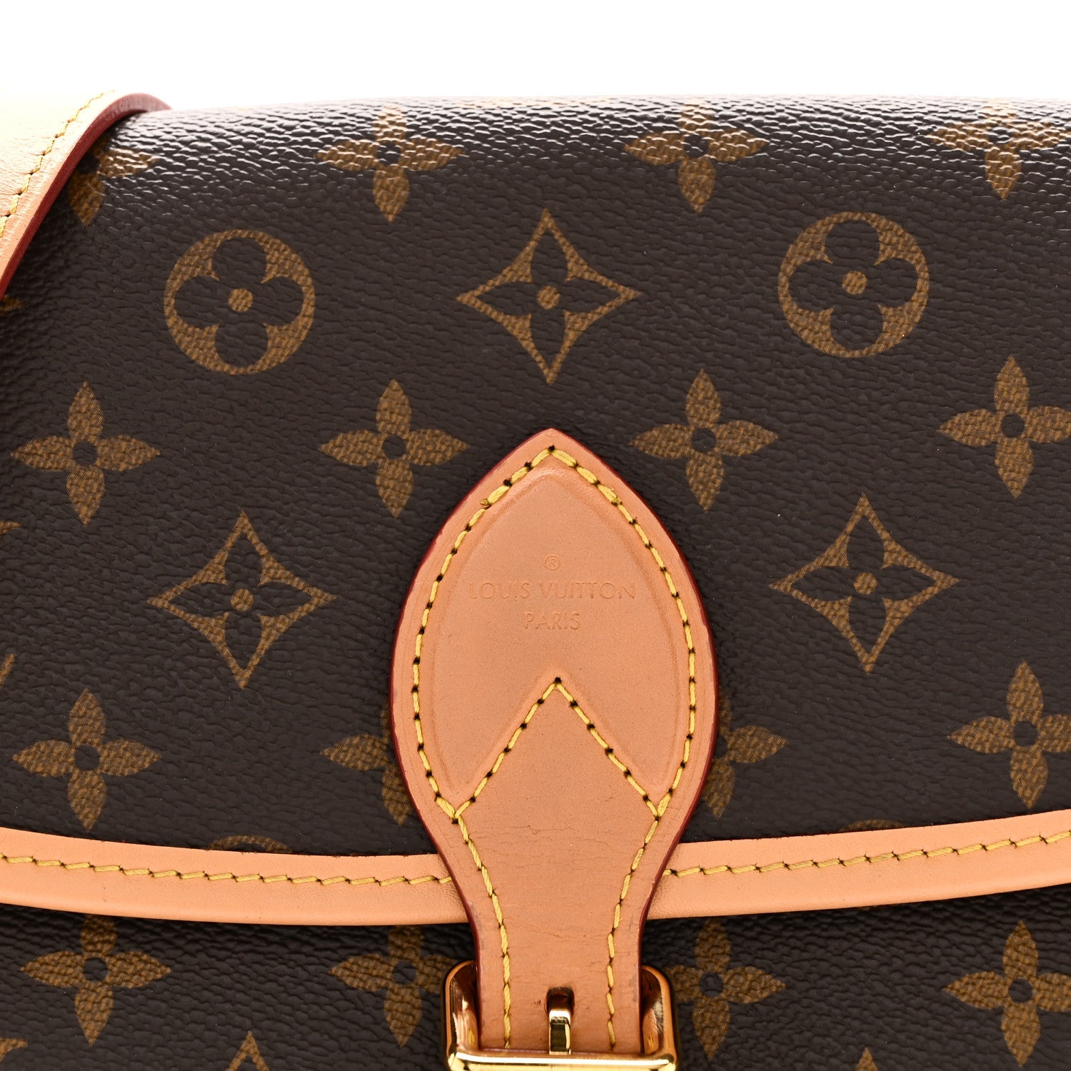 Louis Vuitton Monogram Diane