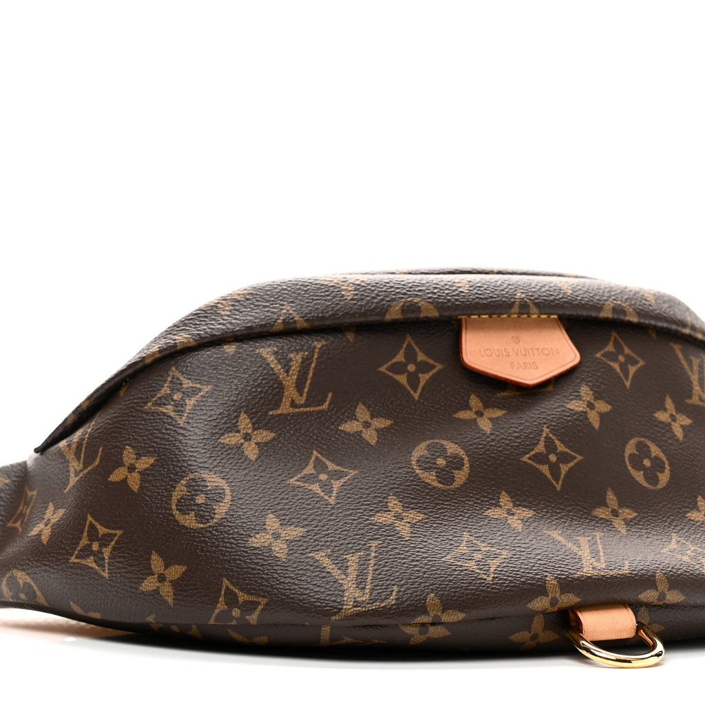Louis Vuitton Monogram Bumbag