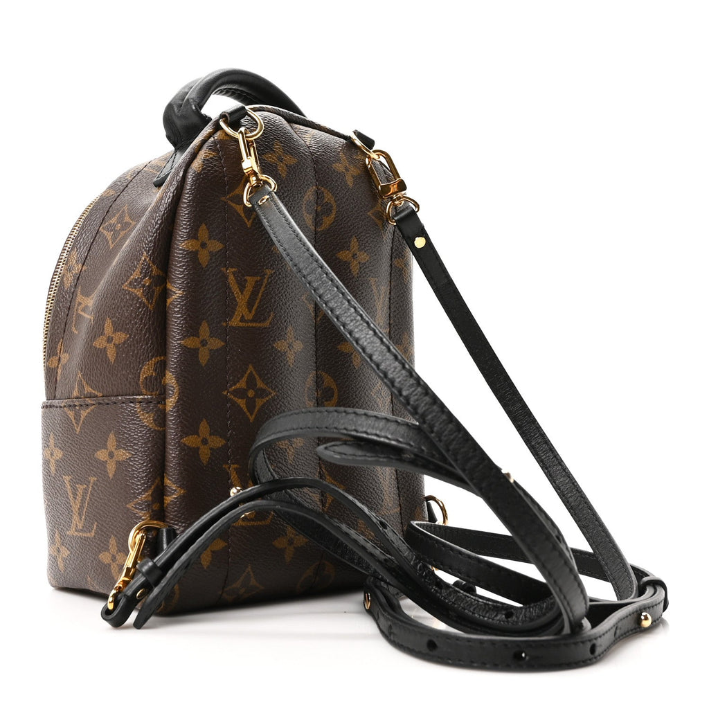 Louis Vuitton Monogram Palm Springs Backpack Mini