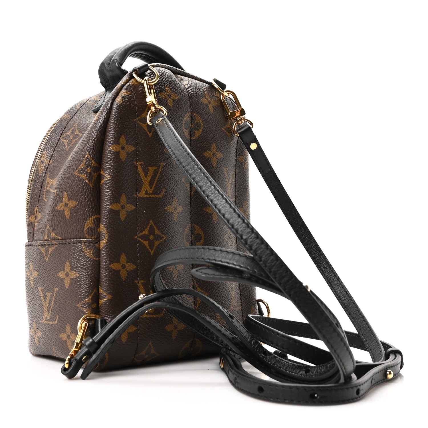 Louis Vuitton Monogram Palm Springs Backpack Mini