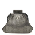 Chanel Stingray Degrade Frame Clutch Silver
