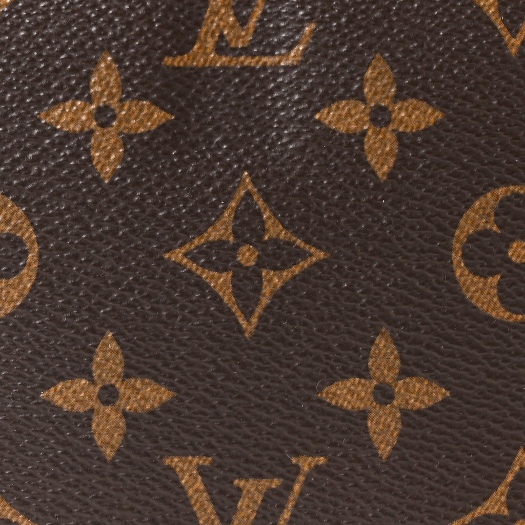 Louis Vuitton Monogram Chain Pochette Accessories