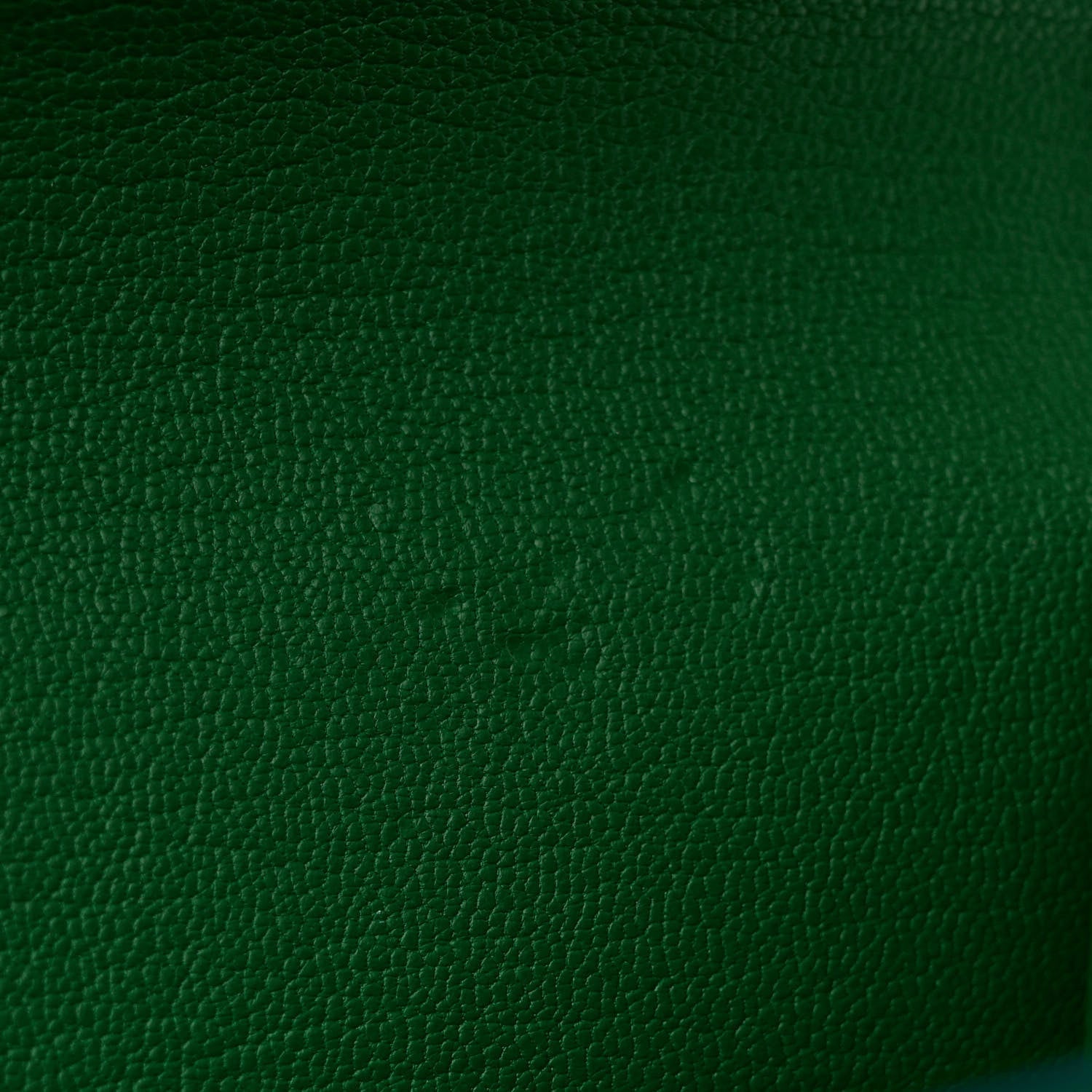 Louis Vuitton Alligator Chain Louise GM Emerald