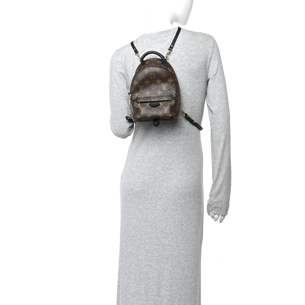 Louis Vuitton Monogram Palm Springs Backpack Mini