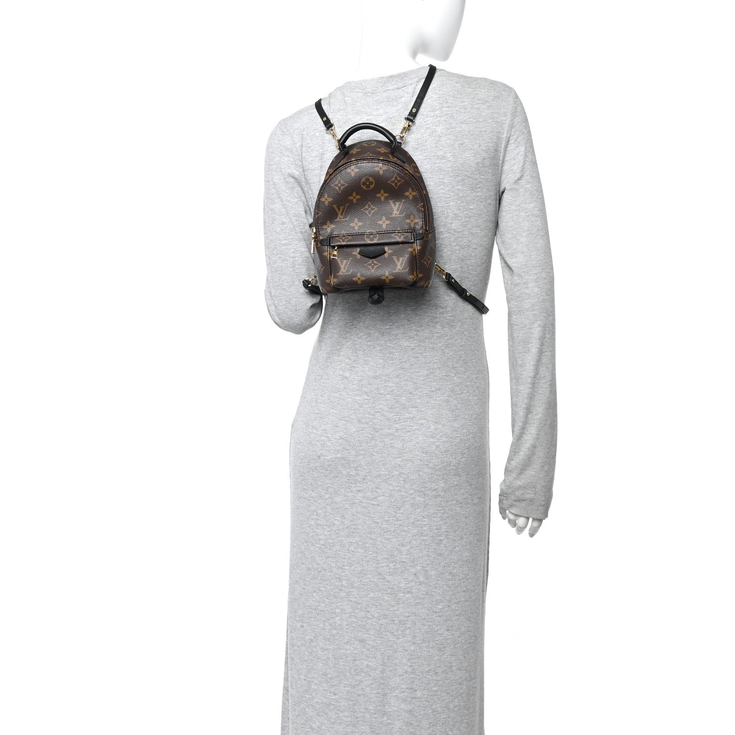 Louis Vuitton Monogram Palm Springs Backpack Mini