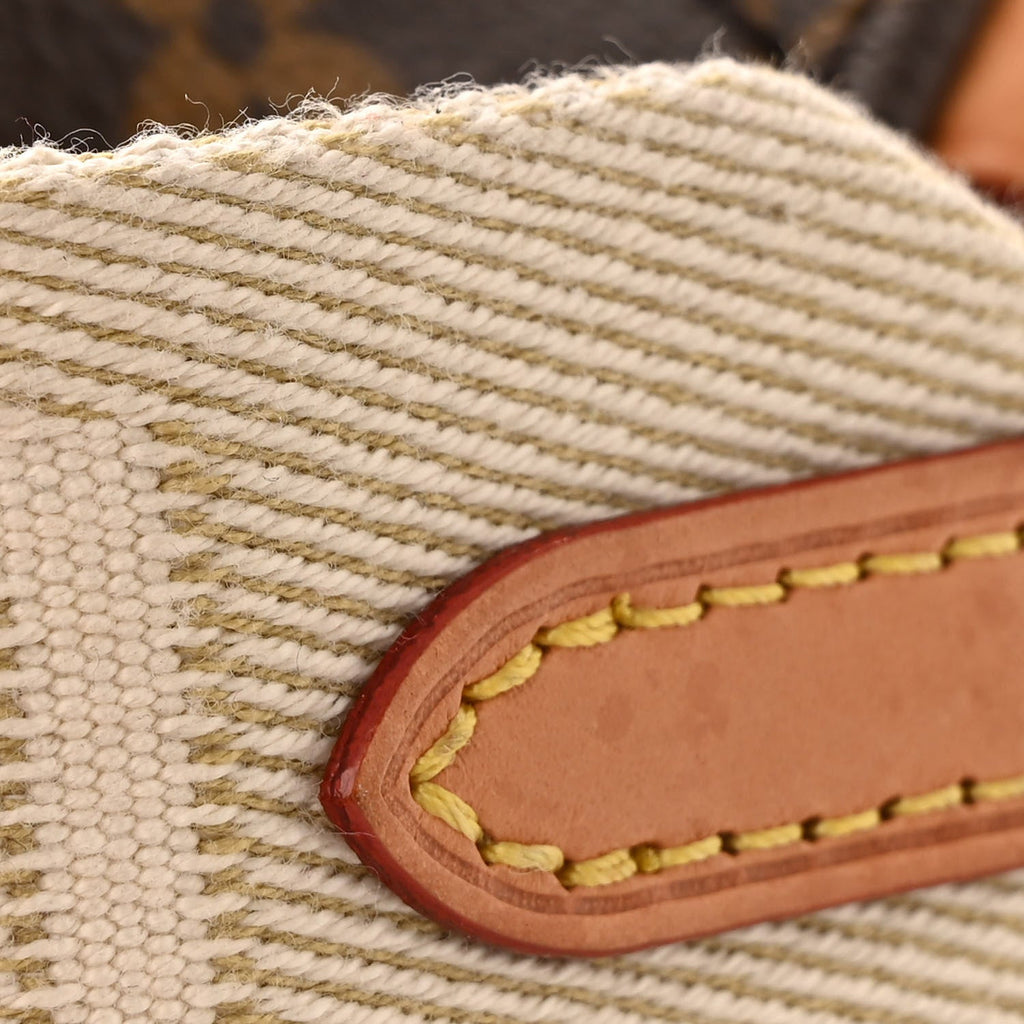 Louis Vuitton Monogram High Rise Bumbag