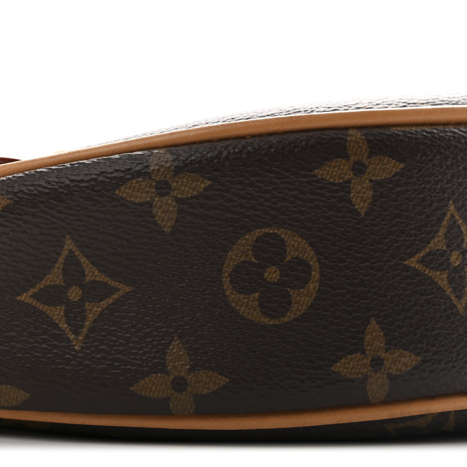 Louis Vuitton Monogram Loop