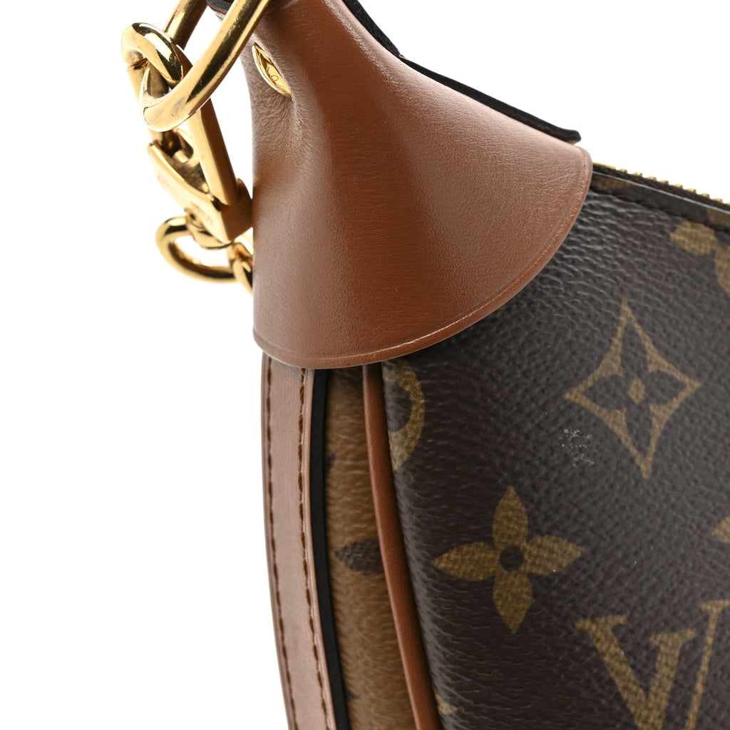 Louis Vuitton Reverse Monogram Loop Hobo
