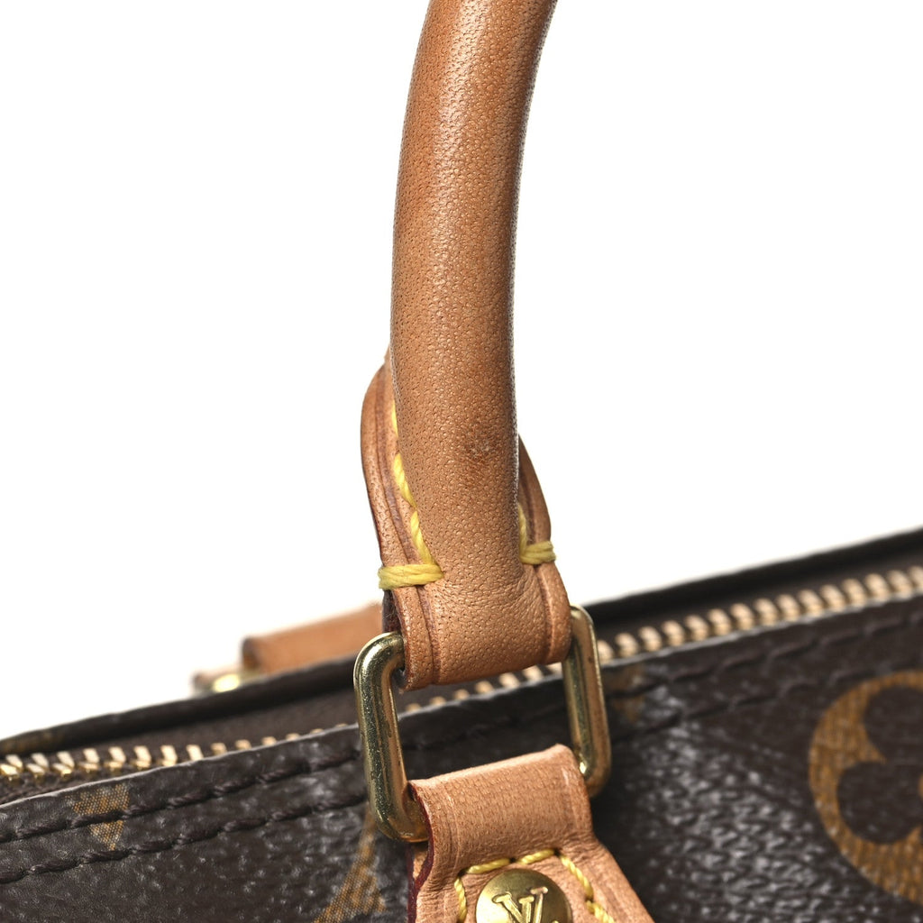 Louis Vuitton Monogram Nano Speedy
