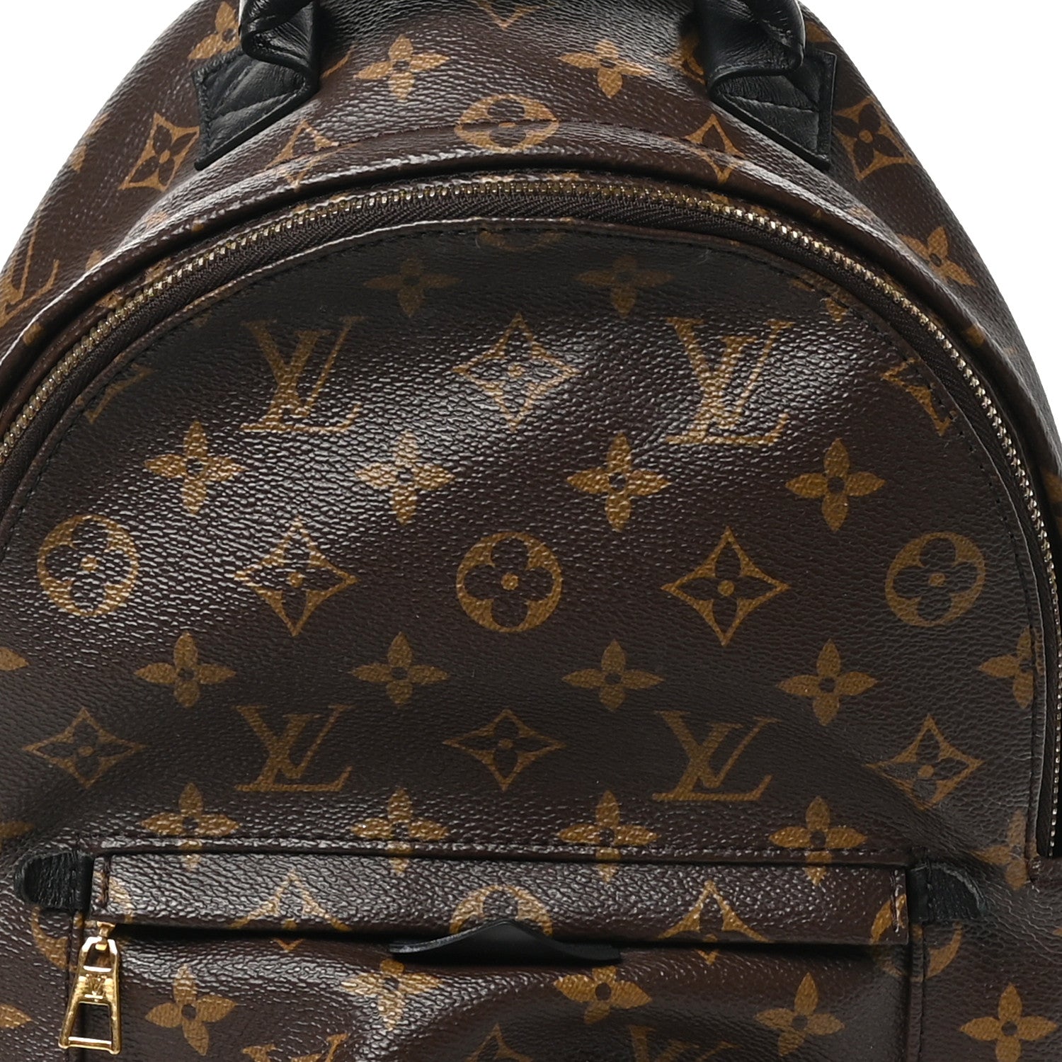 Louis Vuitton Monogram Palm Springs Backpack PM