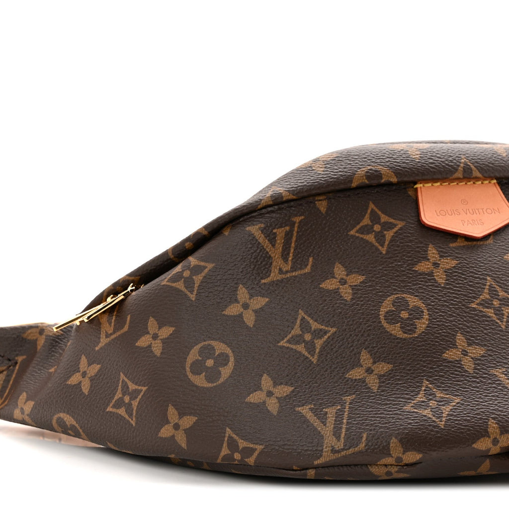 Louis Vuitton Monogram Bumbag