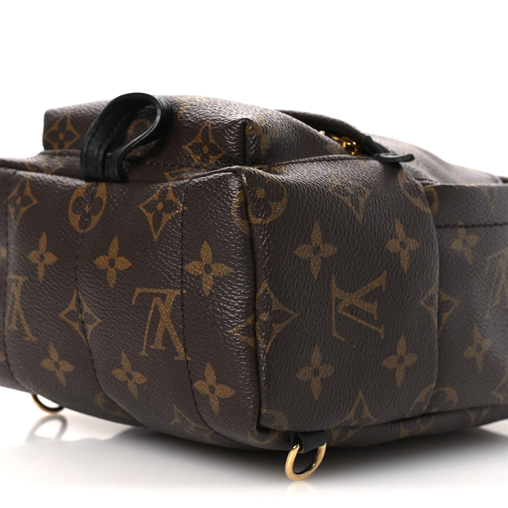 Louis Vuitton Monogram Palm Springs Backpack Mini