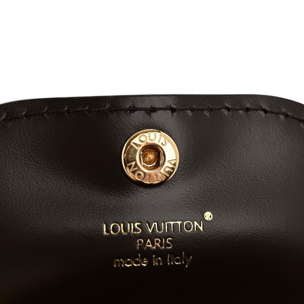 Louis Vuitton Monogram Cute Cat Pouch Earphones Case
