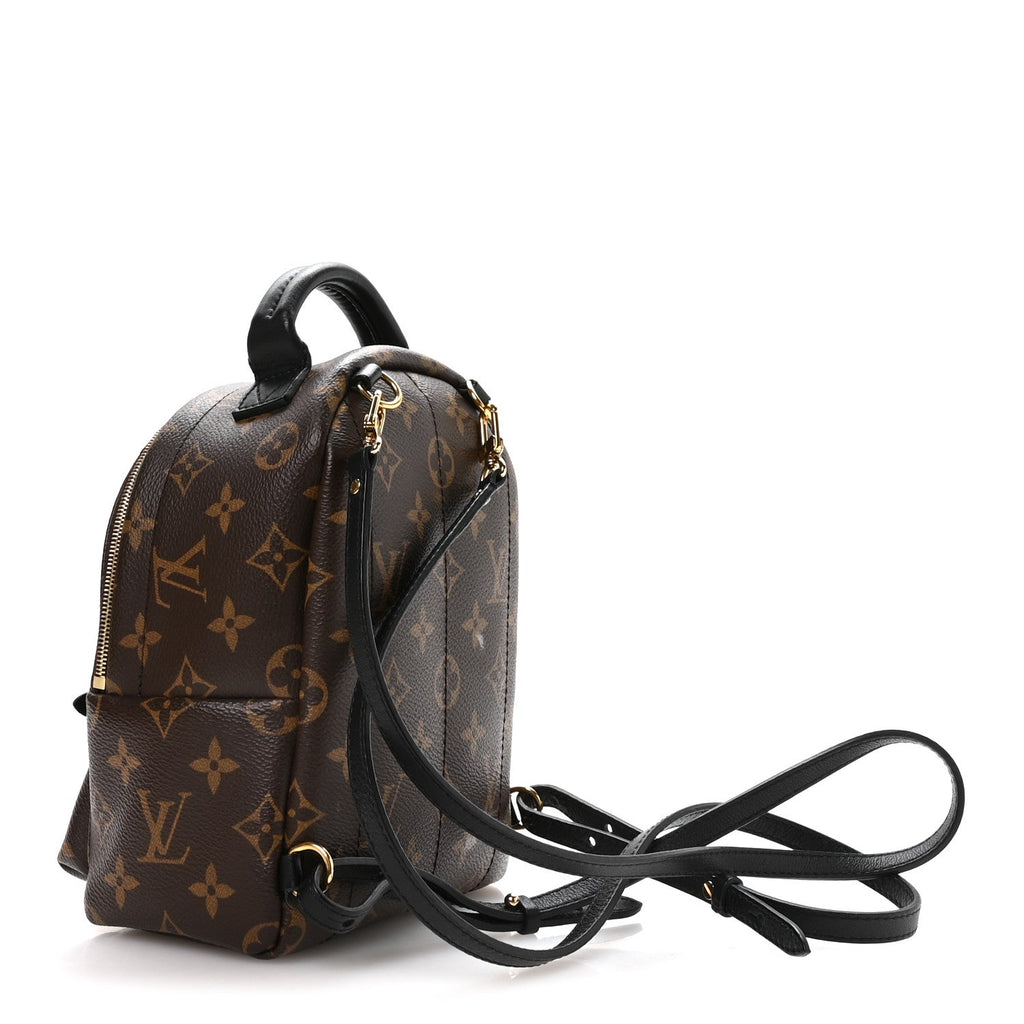 Louis Vuitton Monogram Palm Springs Backpack Mini