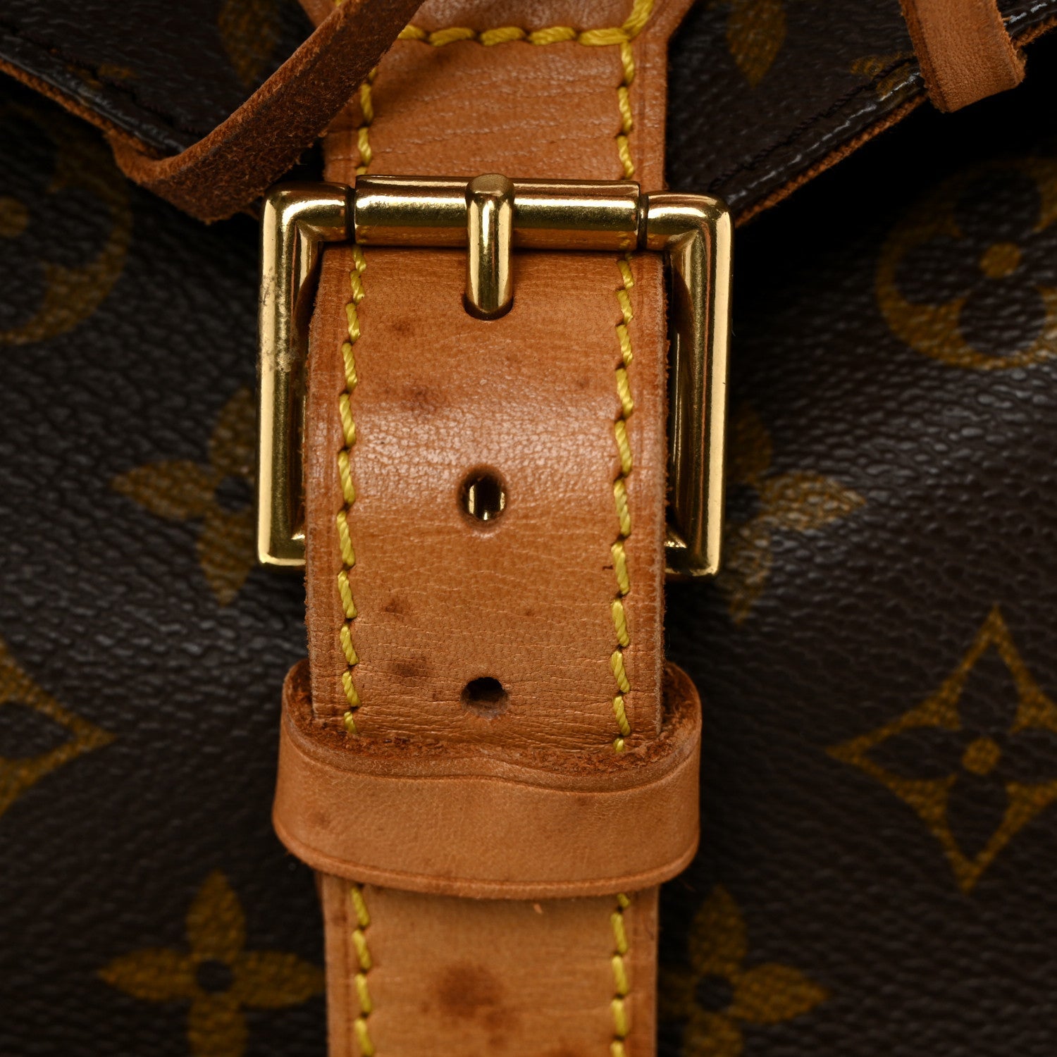 Louis Vuitton Monogram Montsouris GM Backpack