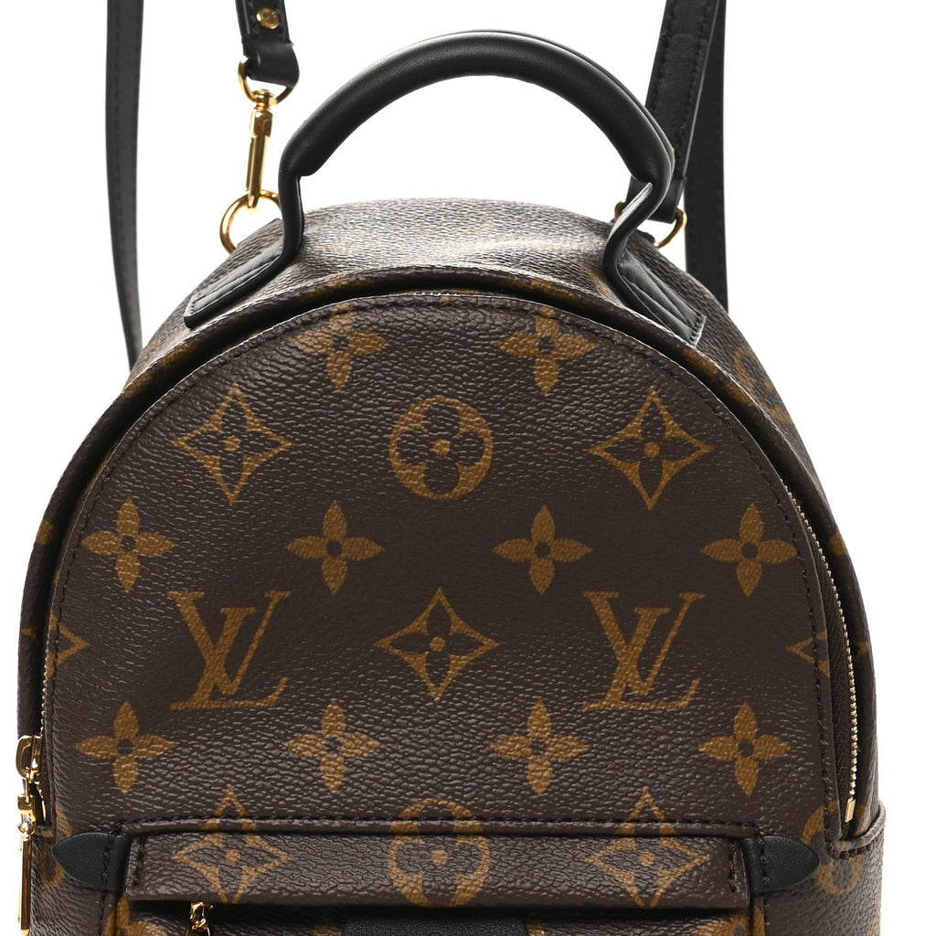 Louis Vuitton Monogram Palm Springs Backpack Mini