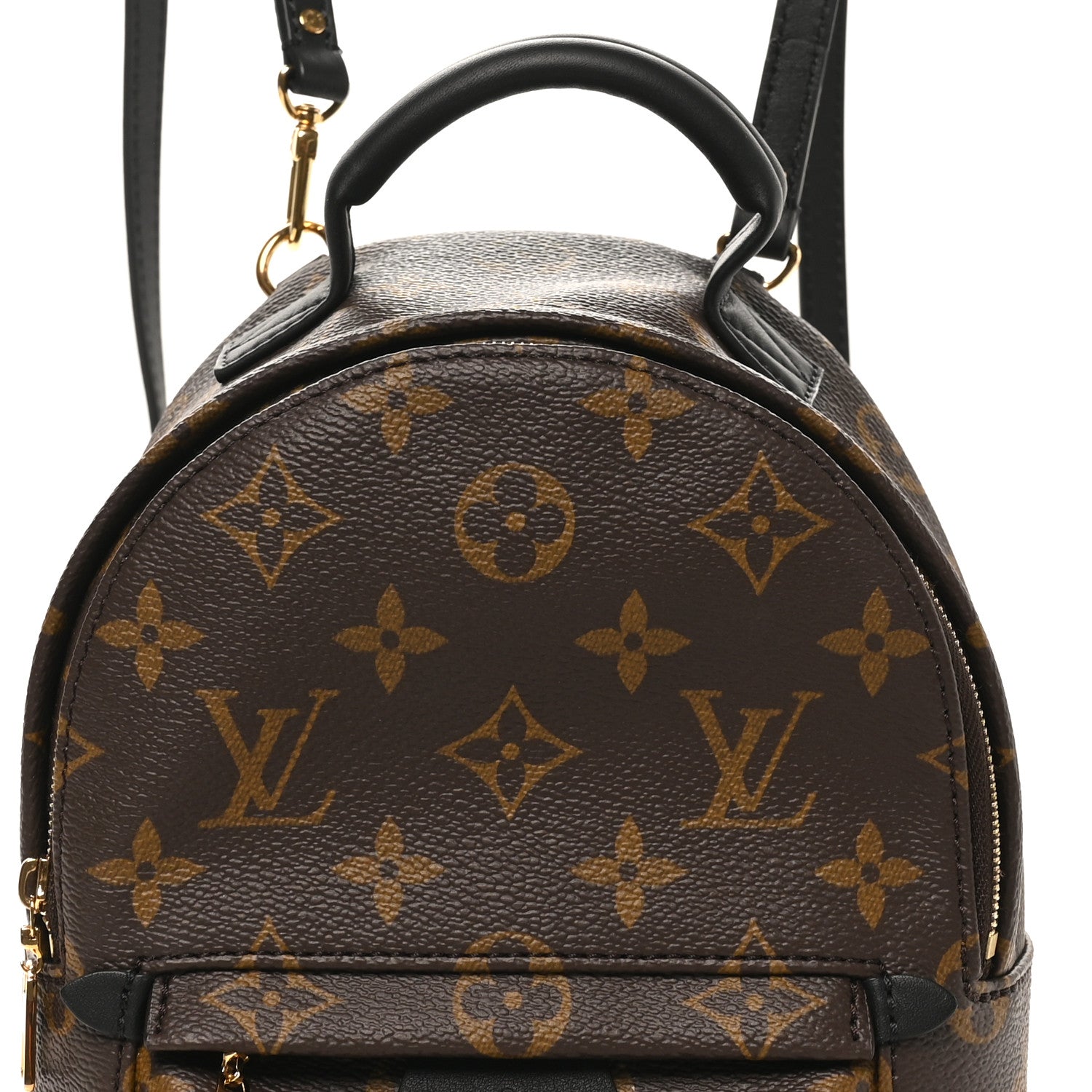 Louis Vuitton Monogram Palm Springs Backpack Mini