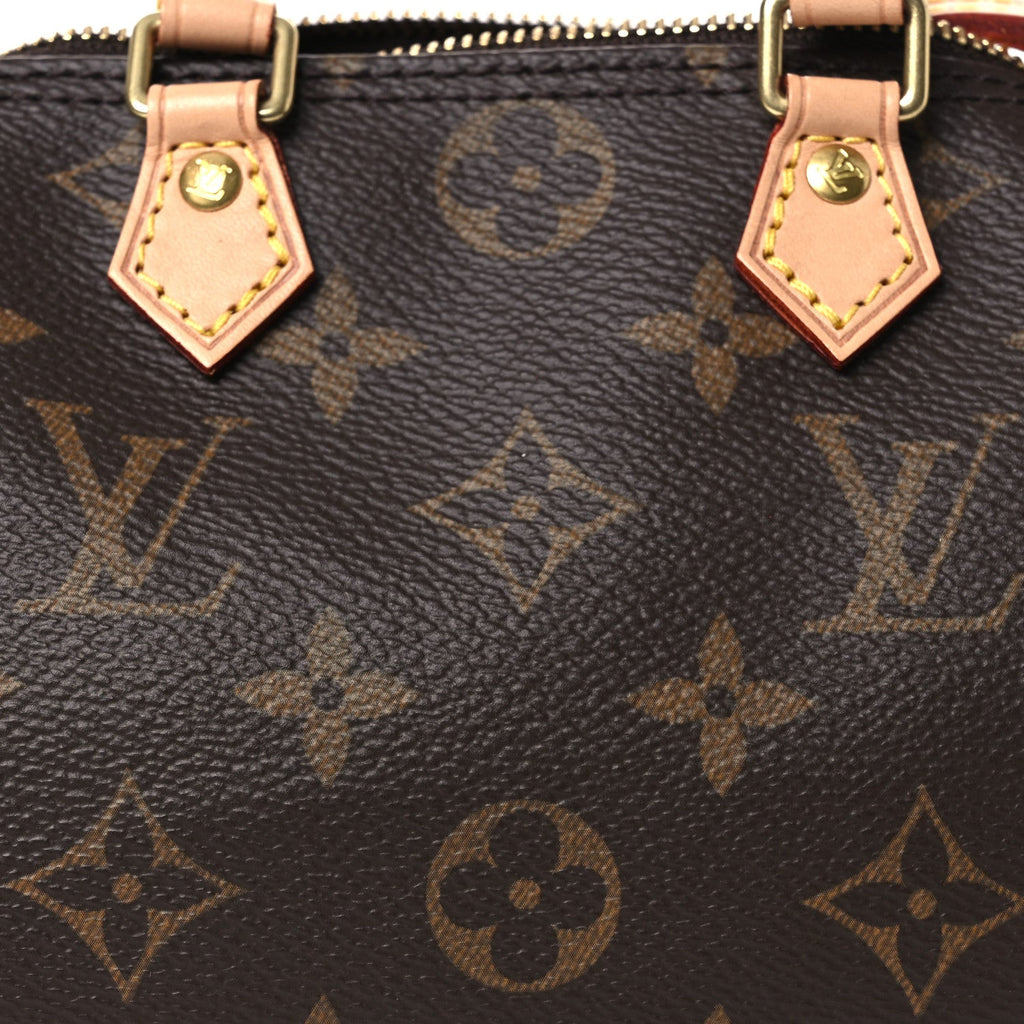 Louis Vuitton Monogram Nano Speedy
