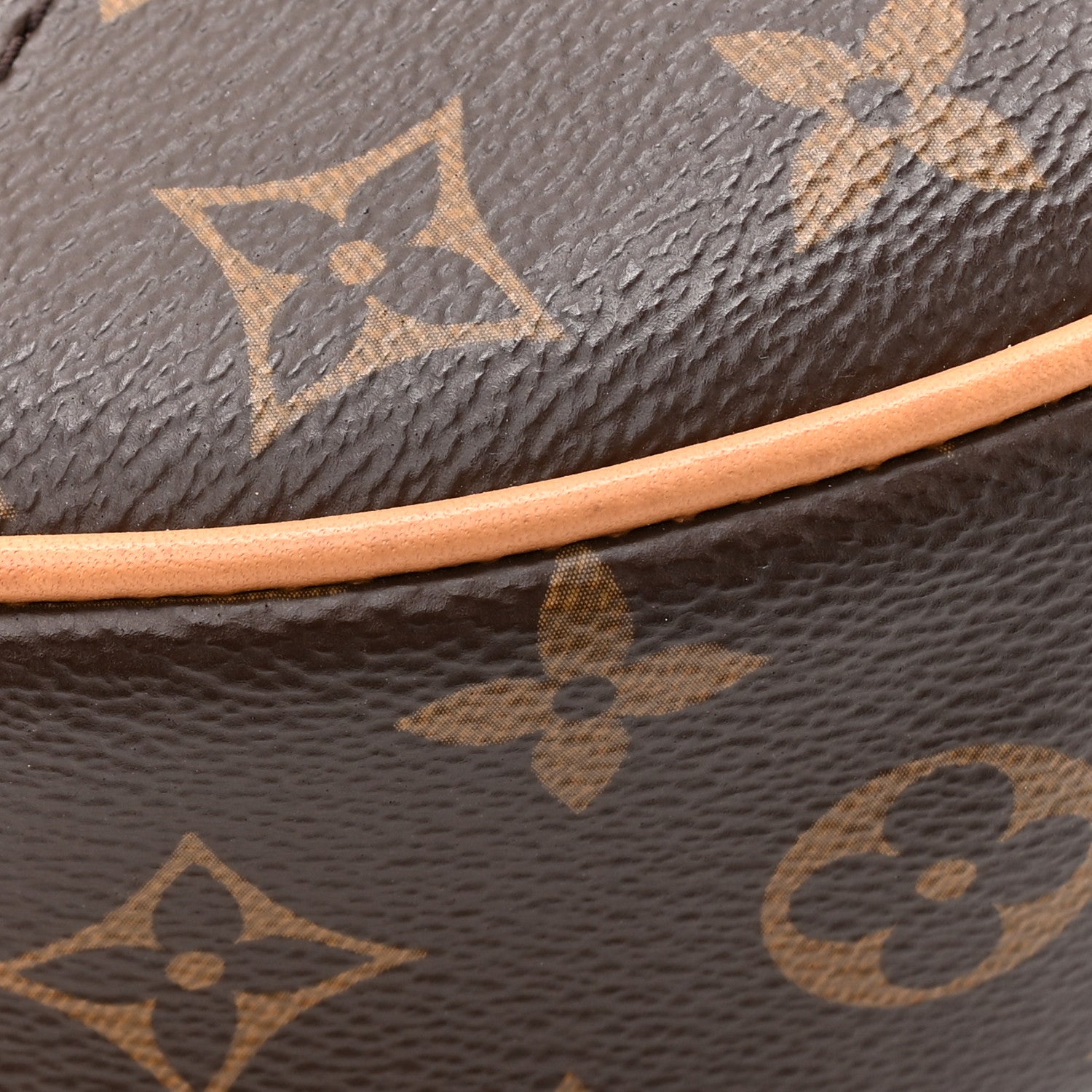 Louis Vuitton Monogram Loop