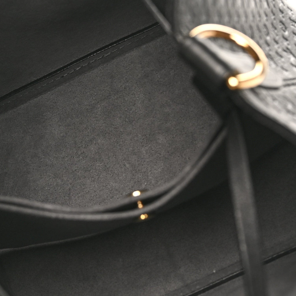 Louis Vuitton Calfskin Nanogram Embossed Neonoe BB Black