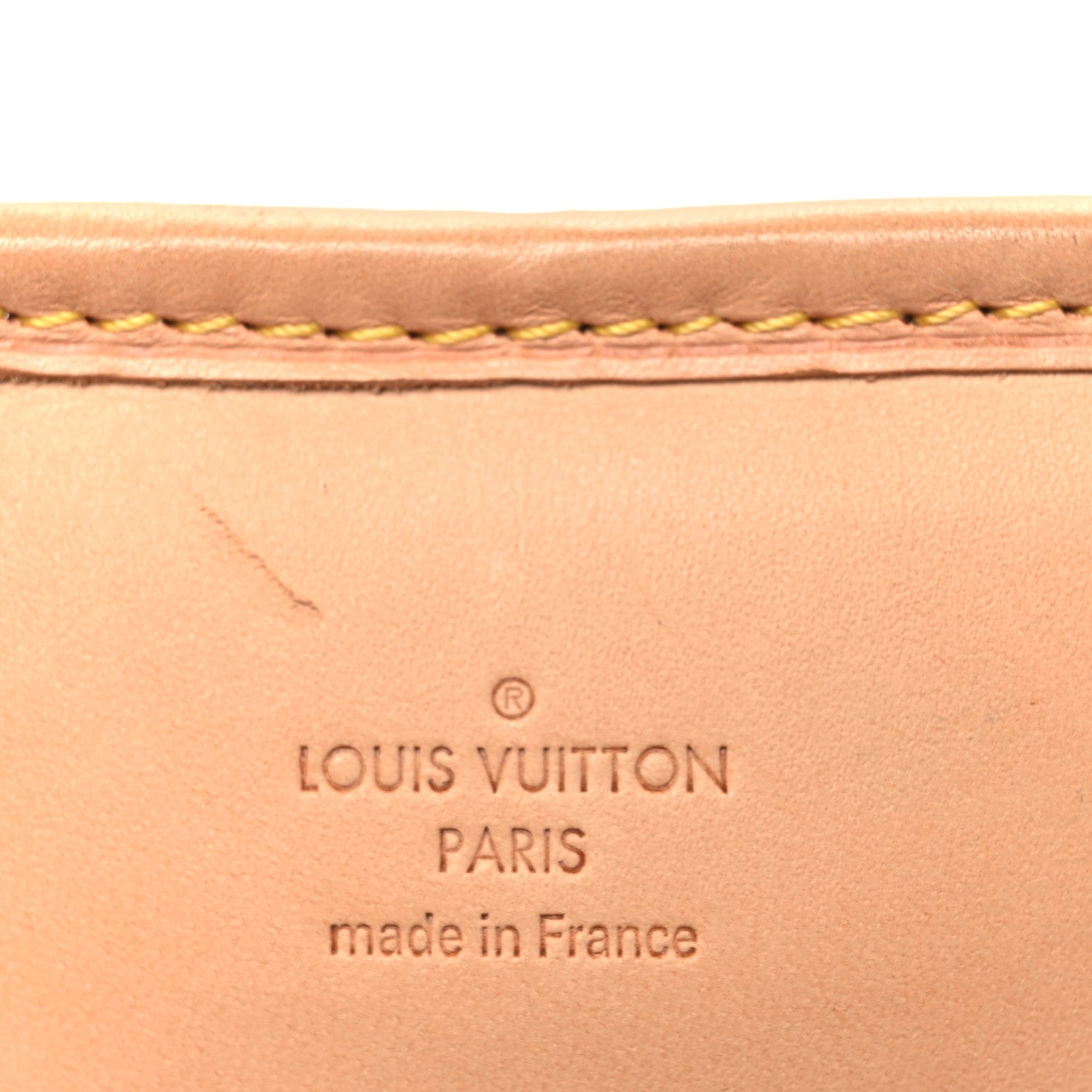 Louis Vuitton Monogram Garment Cover 3 Hangers
