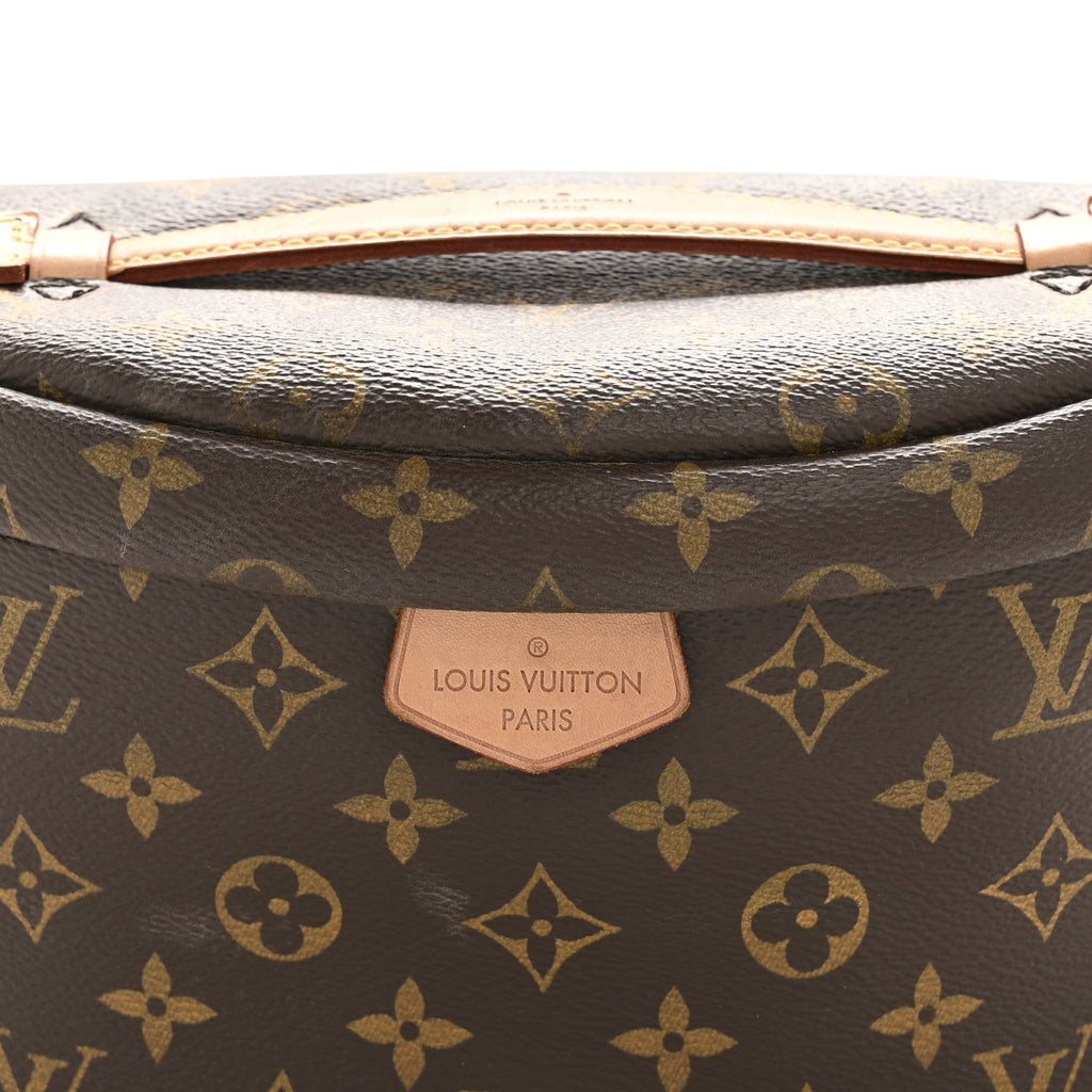 Louis Vuitton Monogram Bumbag