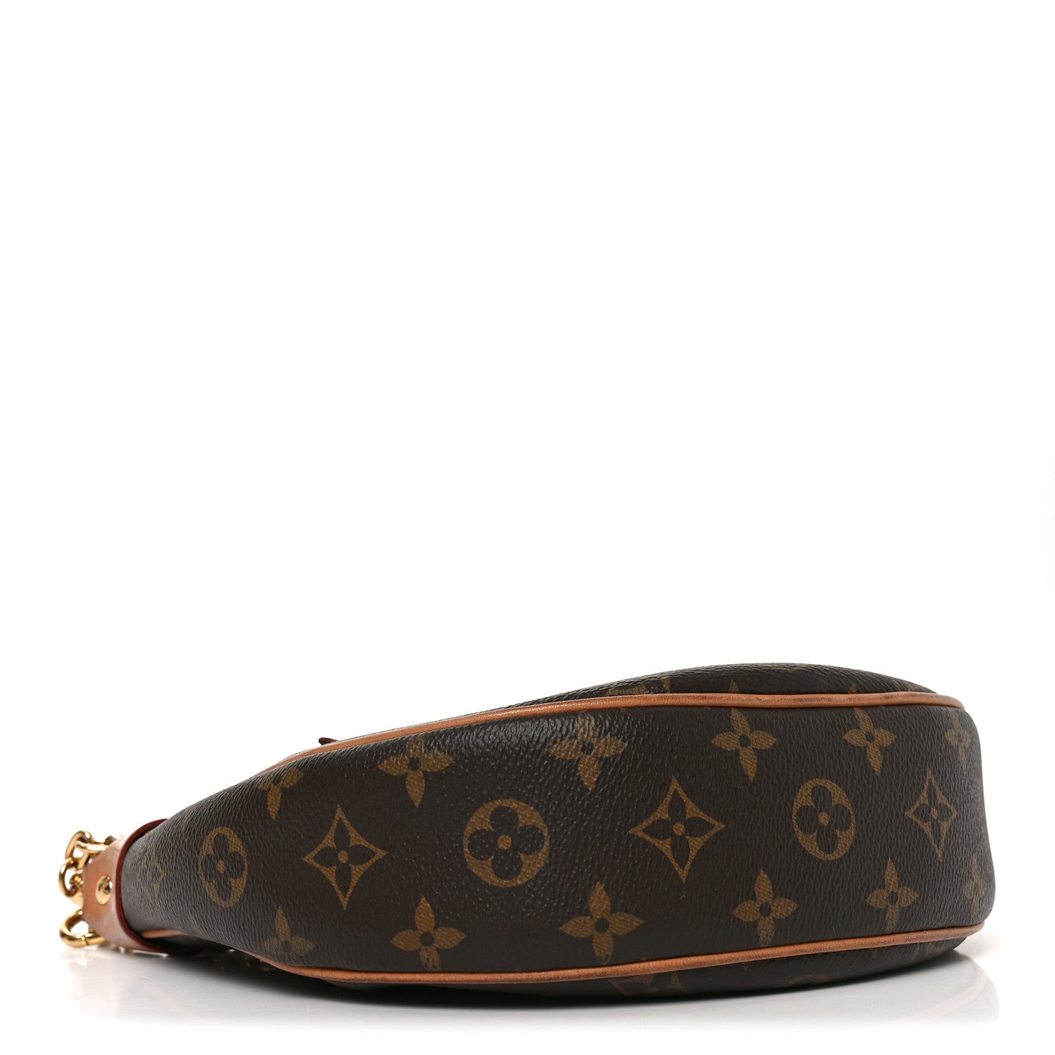 Louis Vuitton Monogram Loop
