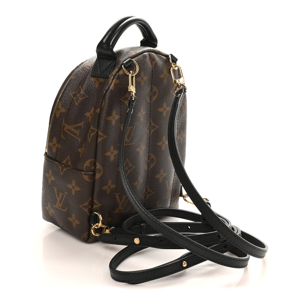 Louis Vuitton Monogram Palm Springs Backpack Mini