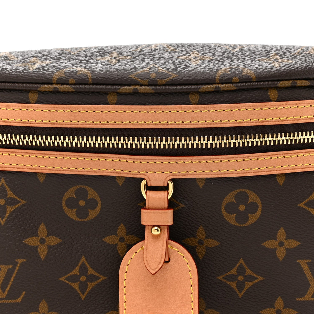 Louis Vuitton Monogram High Rise Bumbag