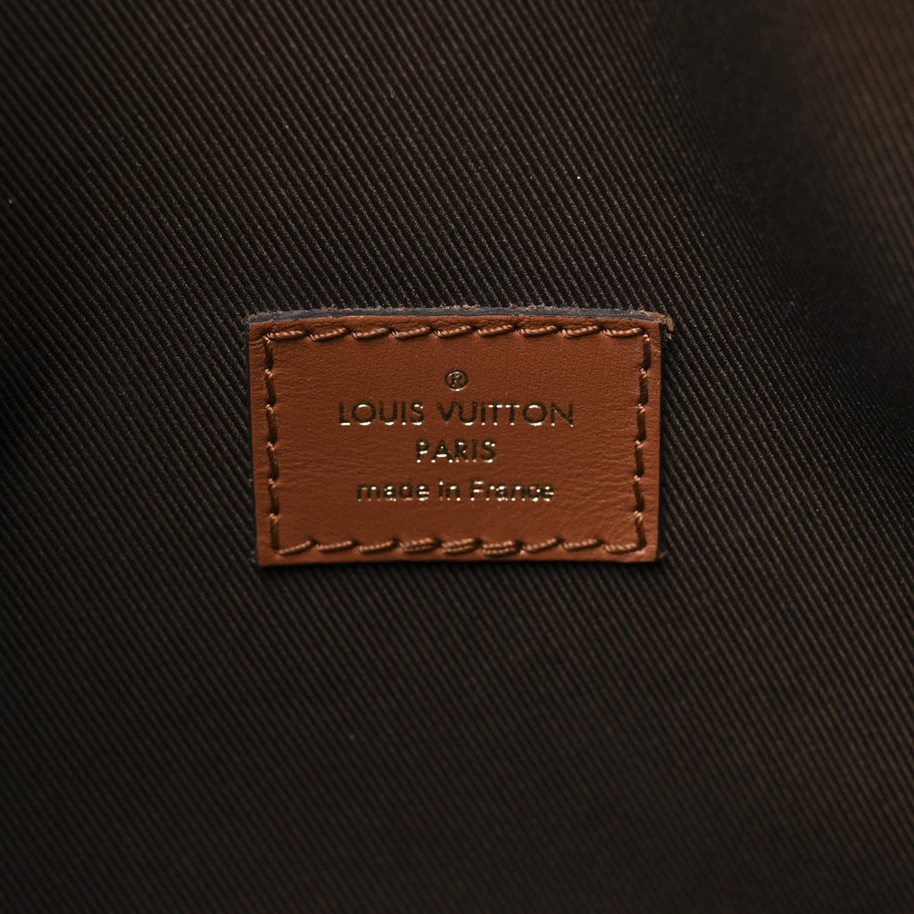 Louis Vuitton Reverse Monogram Loop Hobo