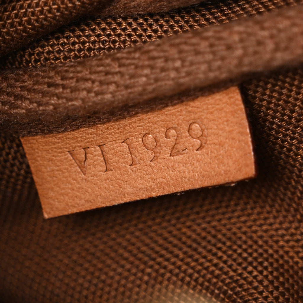 Louis Vuitton Monogram Pochette Accessories