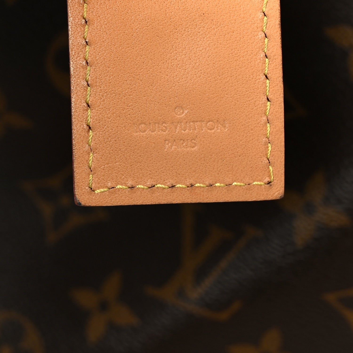 Louis Vuitton Monogram CarryAll PM
