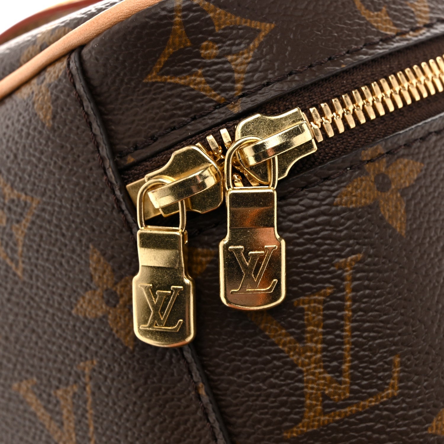 Louis Vuitton Monogram Nice Mini