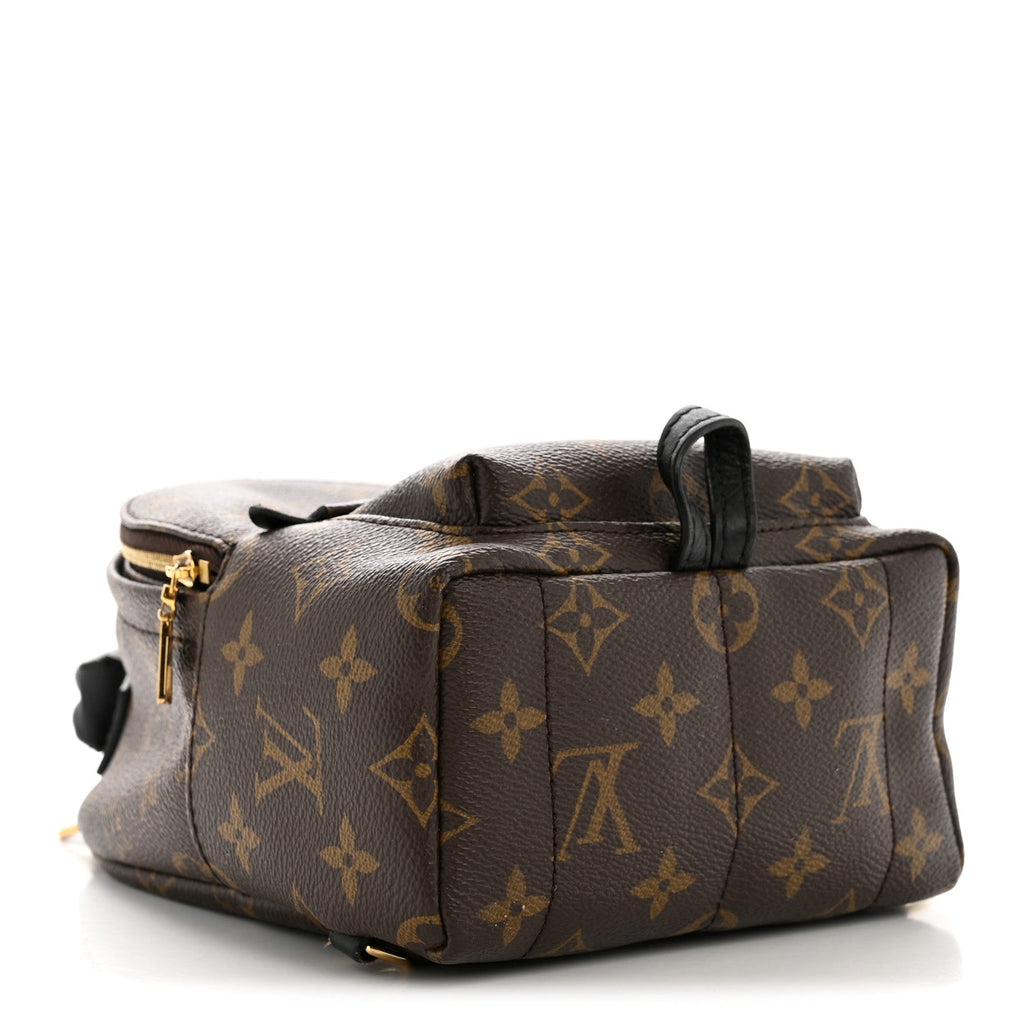 Louis Vuitton Monogram Palm Springs Backpack Mini